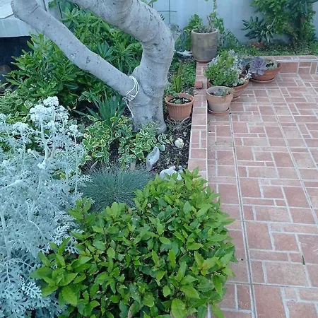 بيت للعطل Sugar House *