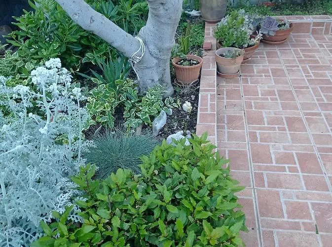 Prázdninový dům Sugar House *